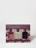 Exploratory Perfume Oil Rollerball Set - Midnight Fleur Collection
